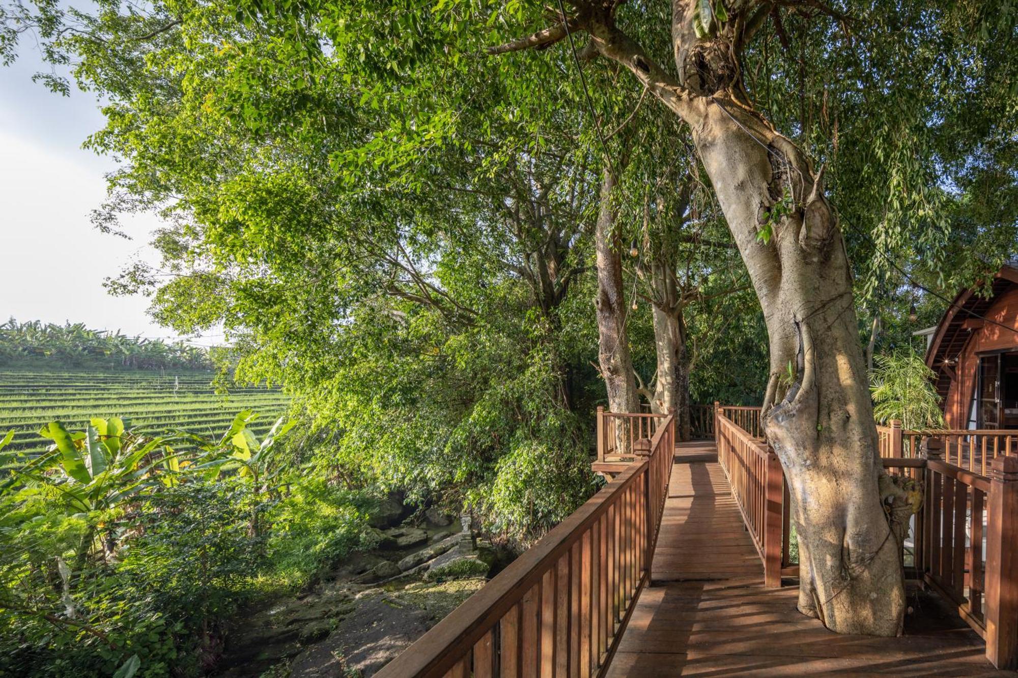 Paripadi Private Villa And Sanctuary Canggu Eksteriør bilde